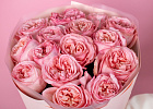 Купить Букет из 15 пионовидных розовых роз 50 см Pink Expression в  с бесплатной доставкой: цена, фото, описание